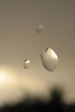 Nature's Tears: A Window to the Rain