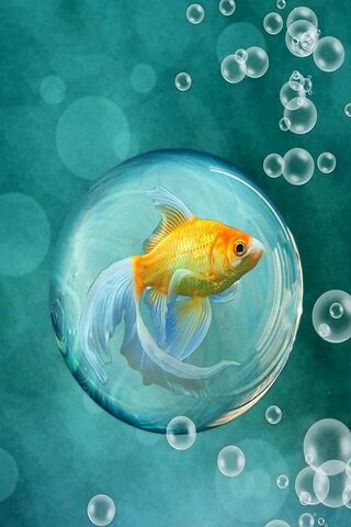 Bubbles of Joy: The Goldfish Adventure 🐠💦