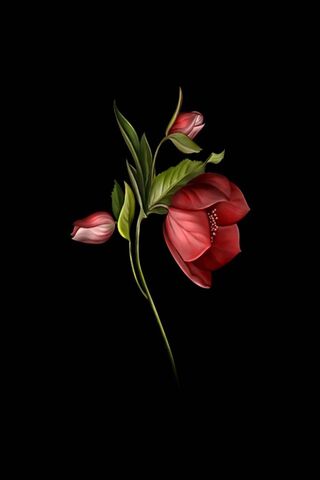 Crimson Elegance: The A..