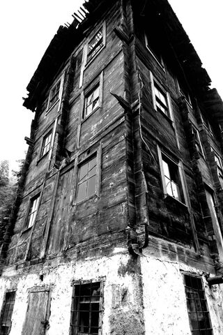 Whispers of the Mystery House 🏚️✨