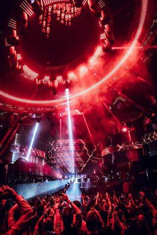 Electric Vibes: The Martingarrix Experience ⚡🎶