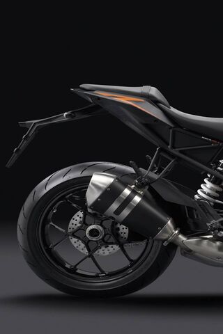 Duke's Bold Rear: A Tail of Power and Precision