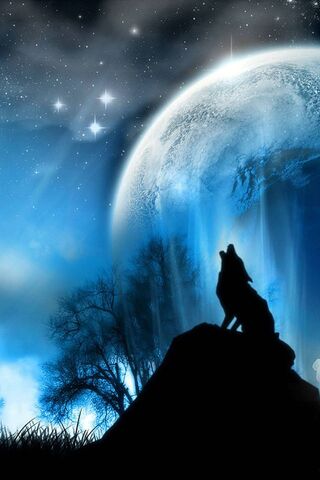 Lunar Howl: The Spirit of the Wolf 🌕🐺