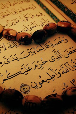 Sacred Verses: The Beauty of the Quran 📖✨