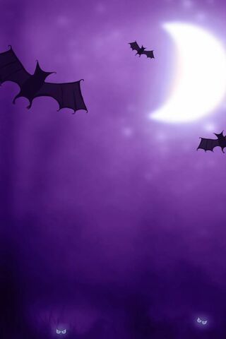Spooky Night Flight 🌙🦇