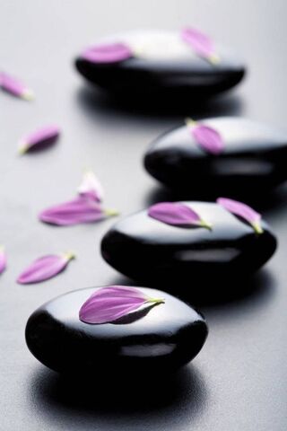 Harmony in Nature: The Art of Feng Shui 🌸🪨