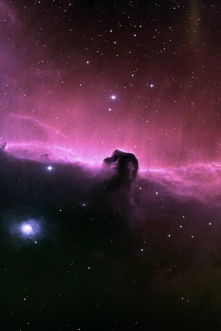 Mysteries of the Horsehead Nebula 🌌🐴
