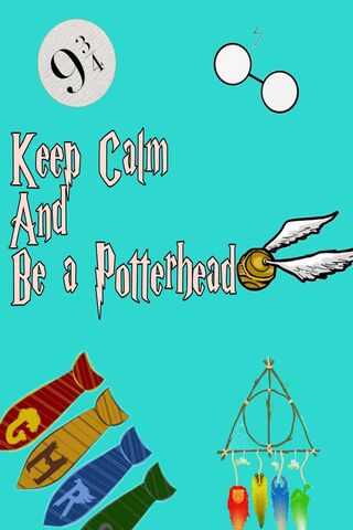 illustration, wallpaper and potterhead - image #6533963 on Favim.com