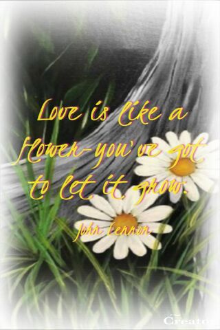 Blooming Love: Nurturing Connections 🌼💖