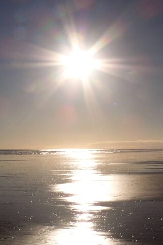 Golden Glow at Sunset Beach 🌅✨