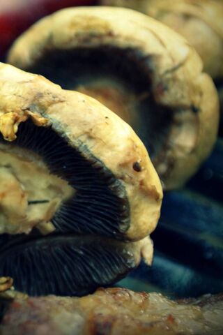 Sizzling Delights: Grilled Mushroom Magic 🍄🔥