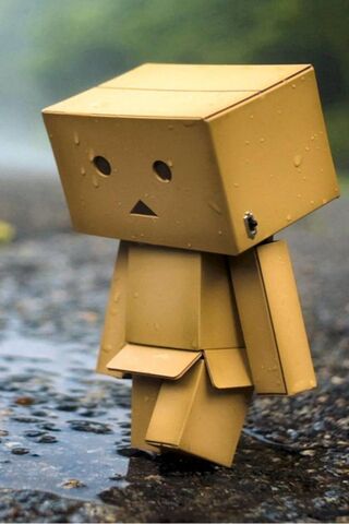 Raindrops of Reflection 🌧️📦