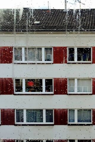 Raindrops and Reflections: A Window's Tale