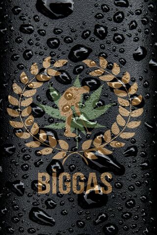 Biggas22: A Refreshing ..