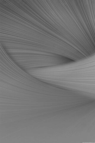 Whispers of Gray: A Dance of Lines