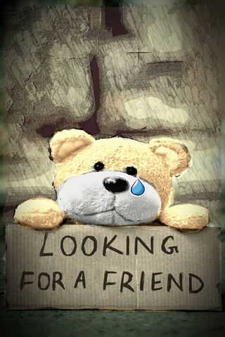 The Heartfelt Search for Friendship 🐻💔