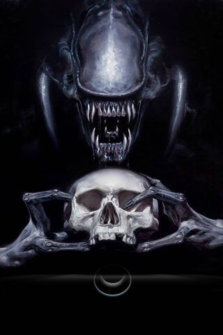 The Grim Embrace of the Death Head Xenomorph 💀👾