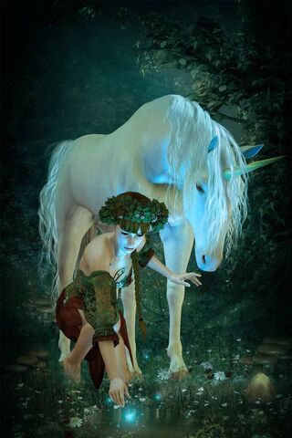 Whispers of the Enchant..