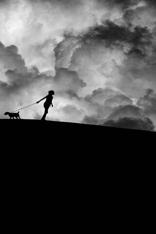 Whispers of the Night 🌌🐾