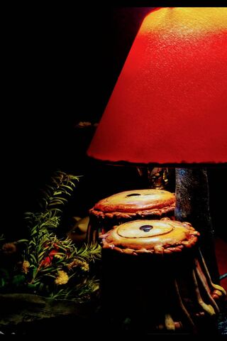 Warm Glow of Nature 🌿✨