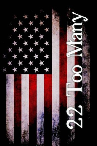 Honoring the Fallen: 22 Too Many 🇺🇸