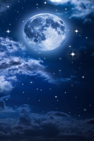 Mooonlit Dreams 🌙✨