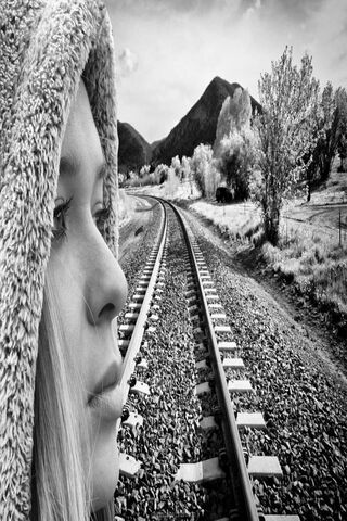 Journey Through Shadows
