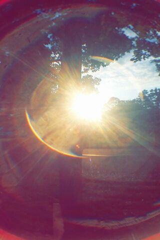 Radiant Moments: Embracing the Sunshine