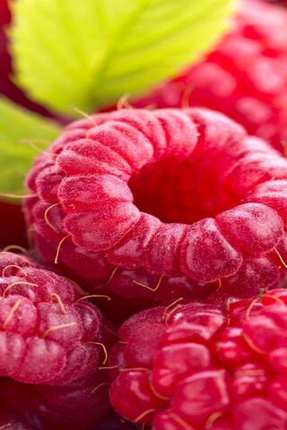 Deliciously Sweet Raspberries 🍇✨