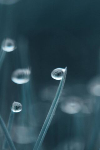 Nature's Crystal Touch: The Huawei Mate Perspective