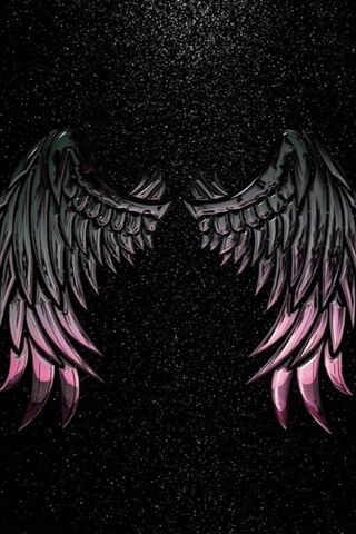 Wings of the Night