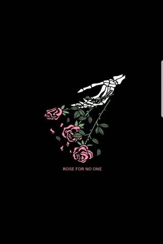 Whispers of Solitude 🌹