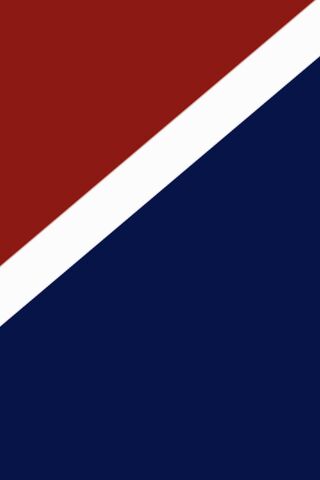 Bold Contrasts: The Red and Blue Harmony