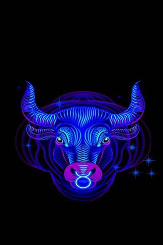 Zodiac Sign