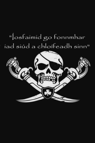 The Bold Irish Jolly Roger: A Pirate's Pride ☘️ ☠️
