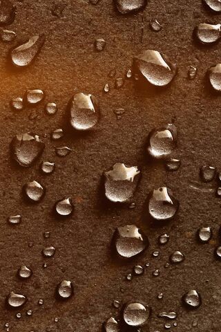 Nature's Tiny Jewels: The Beauty of Drops