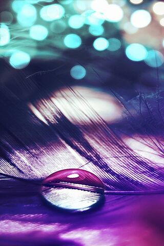 Glistening Dreams: The Magic of a Feather