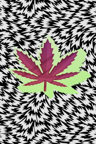 Mind-Bending Leaf: A Visual Trickery 🌿✨