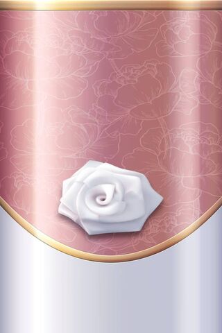 Elegance in Bloom: The Whitesatinrose