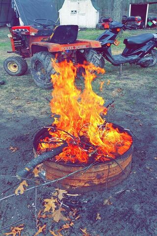 Blazing Trails: The Heart of the Outback