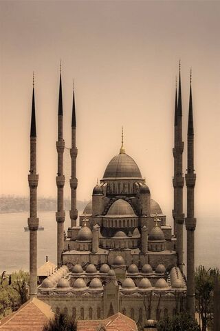 Cami: A Glimpse of Serenity