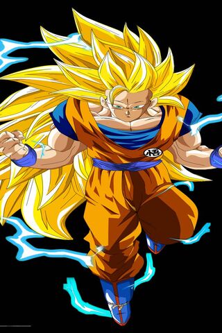 1280x2120 Battle Fire Super Saiyan 3 Goku Dragon Ball Z iPhone 6 HD 4k  Wallpapers Images Backgrounds Photos and Pictures