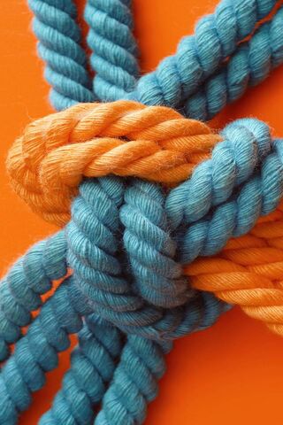 Elife E6: The Art of Connection