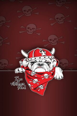 Paw-sitively Viking Spirit! 🐾⚔️