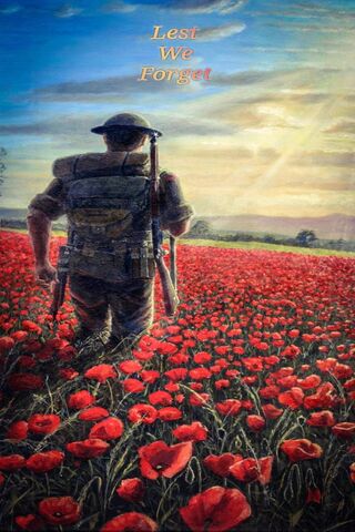 Remembrance Day Wallpaper - Download To Your Mobile From Phoneky