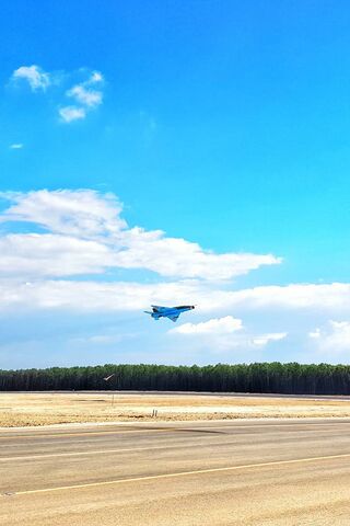 Soaring High: The Mighty Mig-21 Lancer 🛩️✨