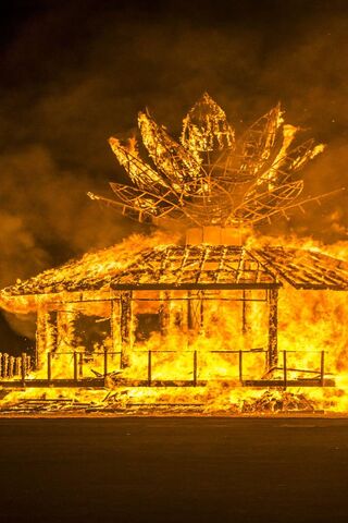 Flames of Transformation: The Heart of Burning Man 🔥🌼