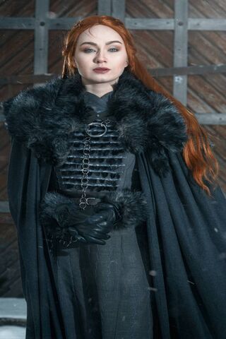 Sansa Stark: The Resilient Queen of Winterfell ❄️👑