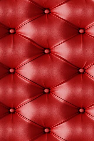 Crimson Comfort: The Allure of Leather