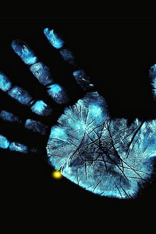 Imprints of Light: A Hand's Story